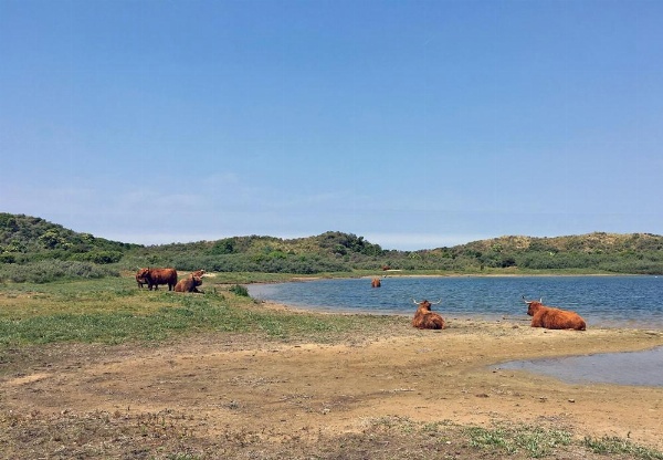 Hotel De Weyman image 11